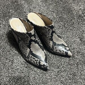 Snake Print Pointed-Toe Mule - Black & Cream Women's Shoe